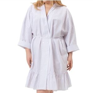 Nwt Harshman Nebbi Caftan Shirt Dress Purple Stripes 2X